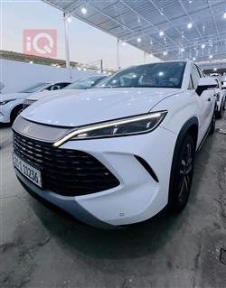 بي واي دي سونغ L DM-i